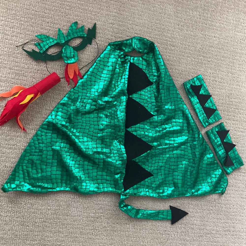 Kids’ Handmade Dragon Costume